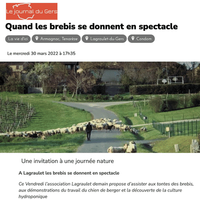 Eco-pâturage à Lagraulet